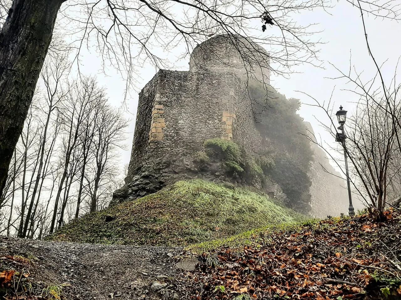 Zamek w Głogówku: Historia, architektura i aktualny stan zabytku