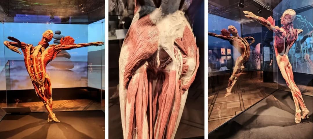 Muzea w Pałacu Kultury – Odkryj fascynujące wystawy i atrakcje